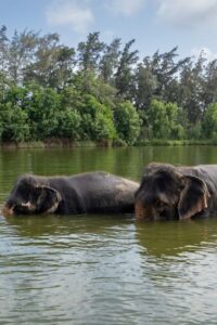 189c1cce38daaf08b07f64a16f7f1dc1