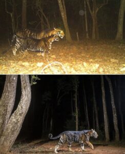 073623f3fe4b43148431120a4ff183ea_533061115_1001395165319191_4024563885317357419_n