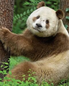 0a1d825b843449ddbf712db9639d942f_518026886_17908868688188359_3486161317405258231_n