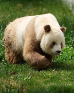 291934784ee04296bb7b2632821fd570_519612137_17908868697188359_2014513073028588395_n