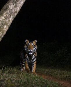 e50461ffc4e44a018cc8c15ddd3e6df1_532349590_1252332802854700_7547609019811205567_n